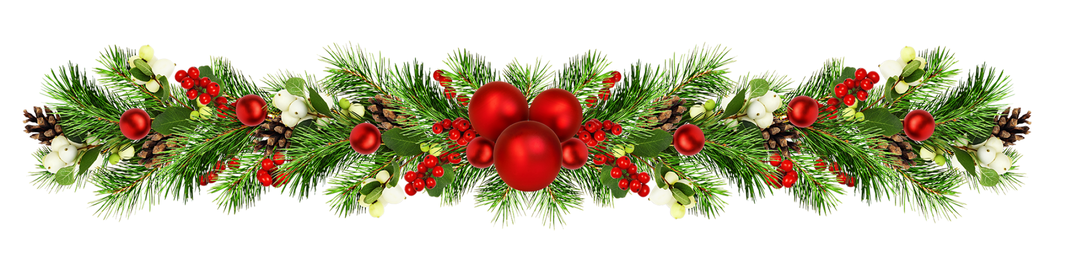 Snowberries with green twigs of Christmas tree, red decorations and cones in a festive garland isolated on white