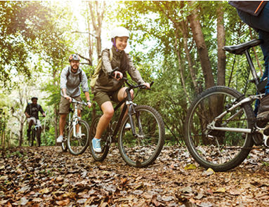 Group of friends ride mountain bike in the forest together