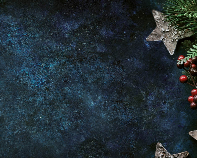 Christmas decorative background with stars and winter berries