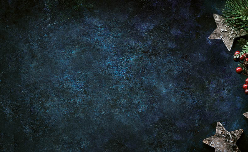 Christmas decorative background with stars and winter berries