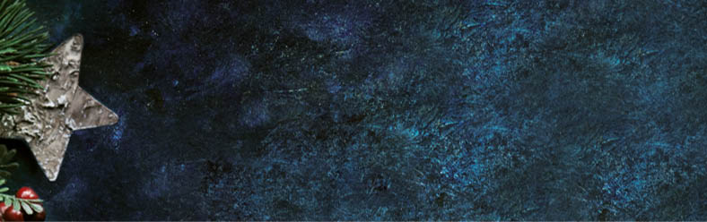 Christmas decorative background with stars and winter berries