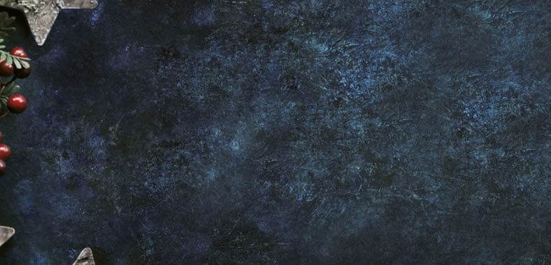 Christmas decorative background with stars and winter berries