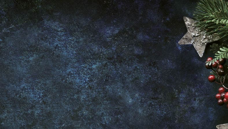 Christmas decorative background with stars and winter berries