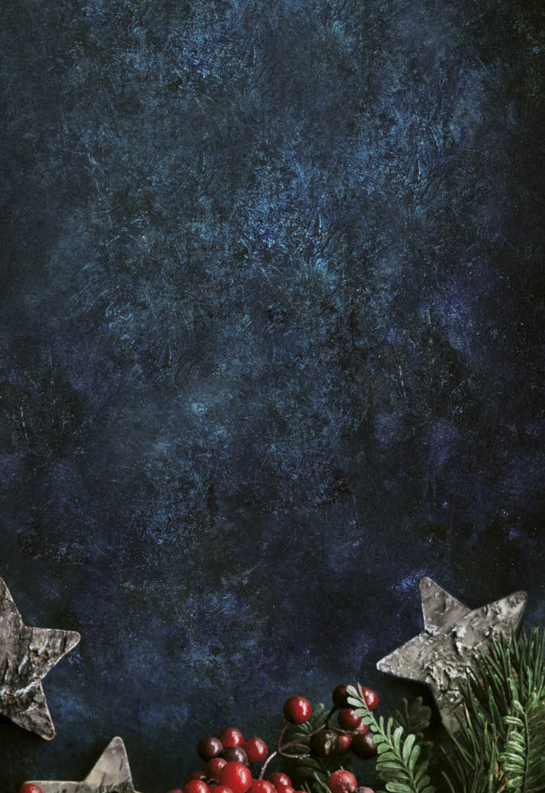 Christmas decorative background with stars and winter berries