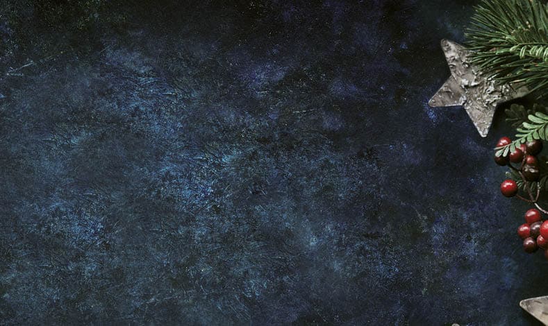 Christmas decorative background with stars and winter berries