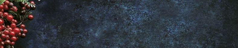 Christmas decorative background with stars and winter berries