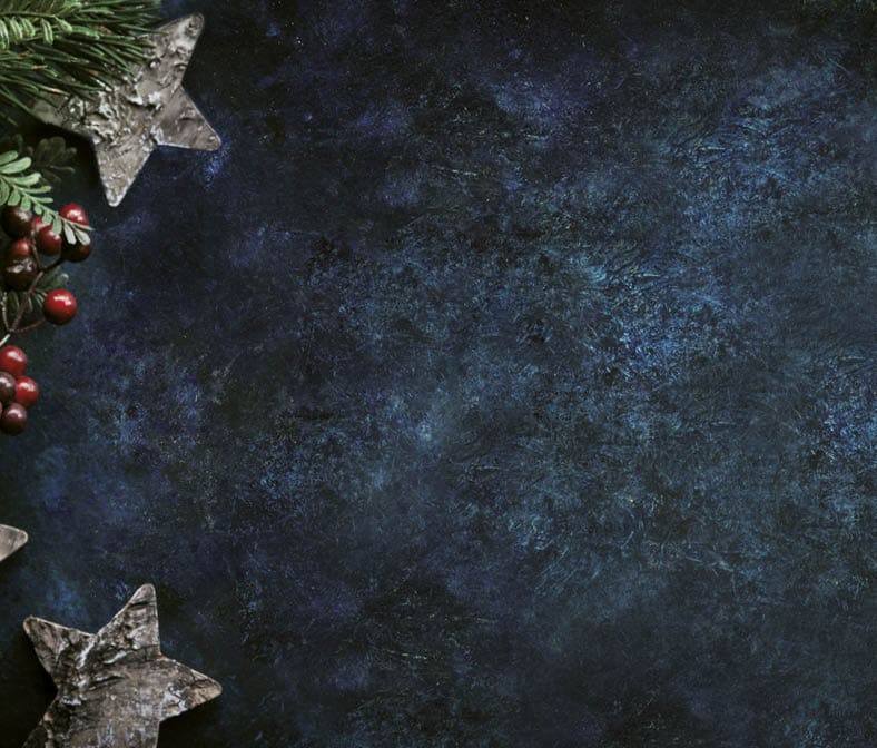 Christmas decorative background with stars and winter berries